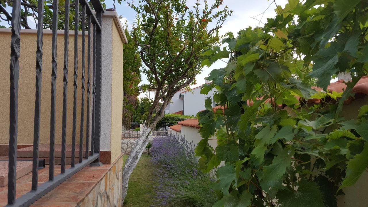 Holiday House Lavanda Vrsi Eksteriør billede